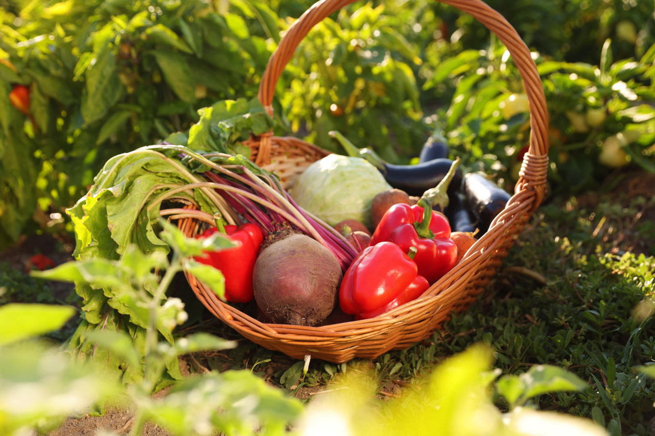 Illustration for 7 Easy Ways to Add More Vegetables to Your Daily Meals